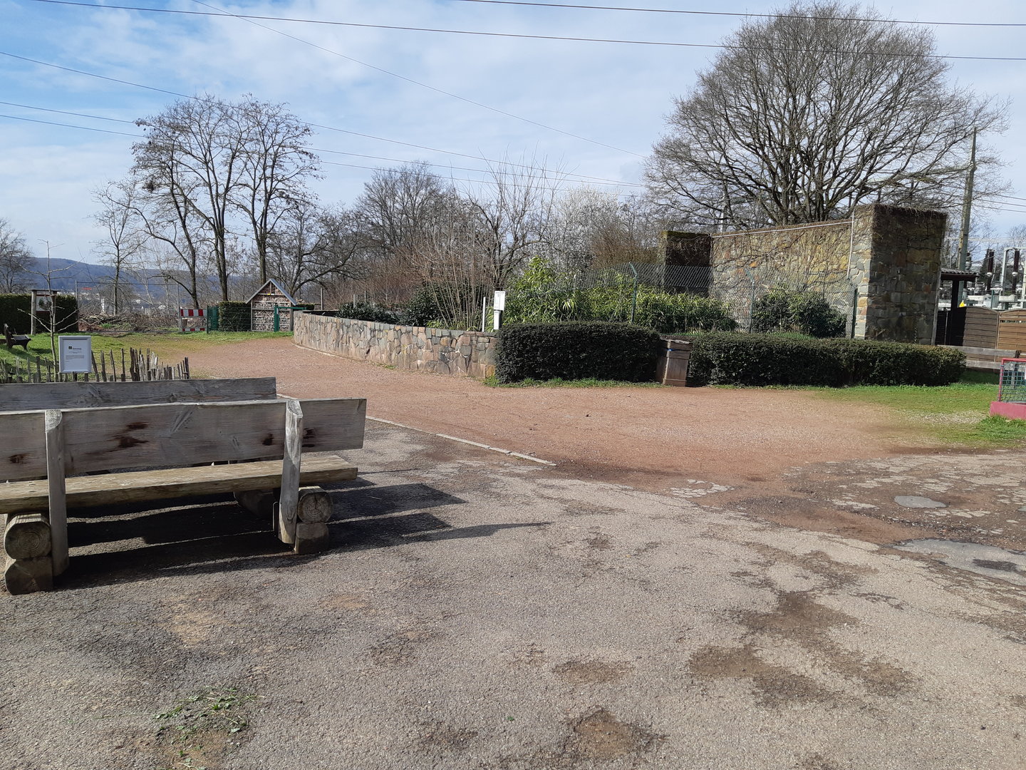 Corsac fox exhibit - Zoo Saarbrücken