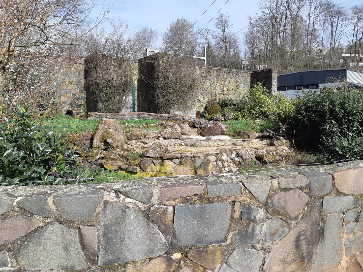 Corsax fox exhibit - Zoo Saarbrücken