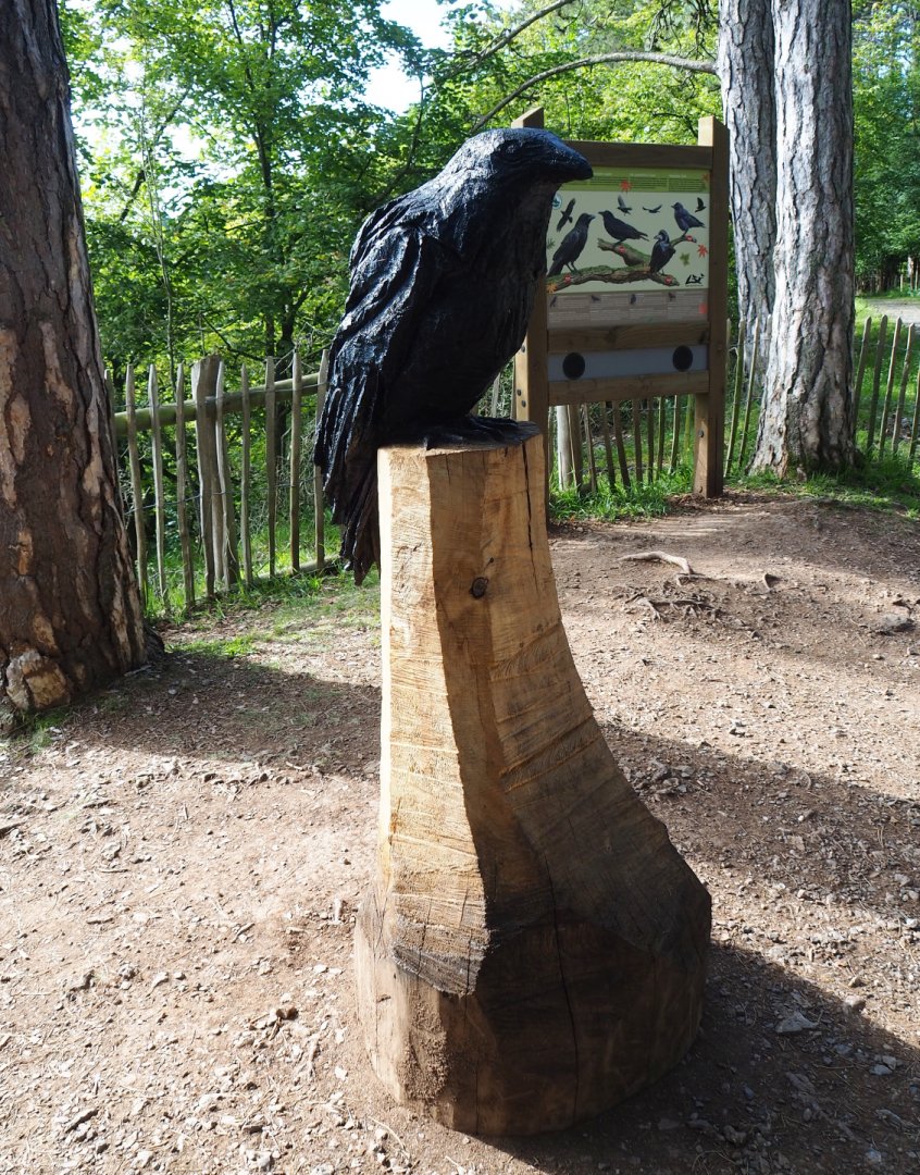 Corvid wood carving, 2021-08-15