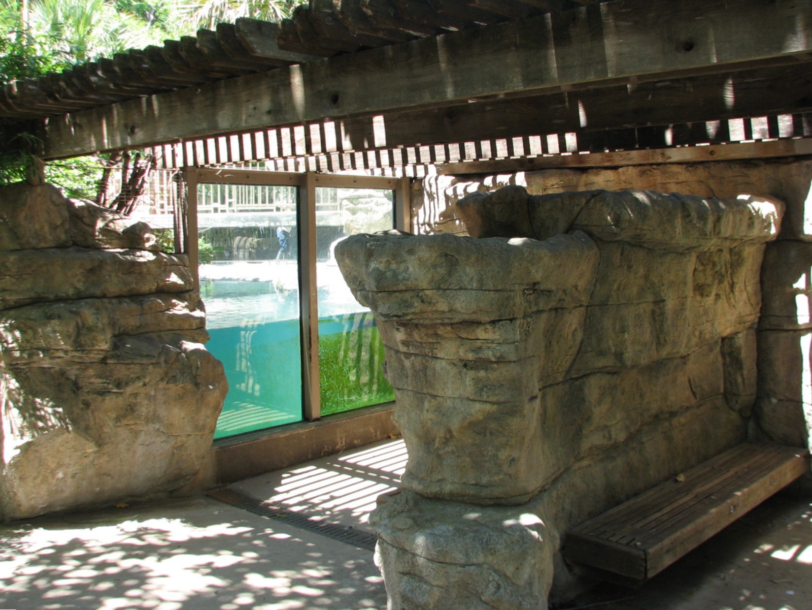Coscoroba Swan Exhibit - Underwater Viewing Area