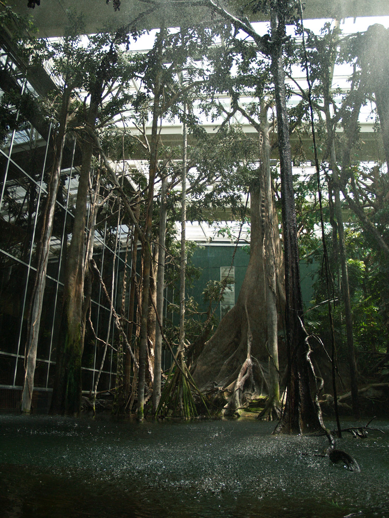 Cosmocaixa - Amazon forest
