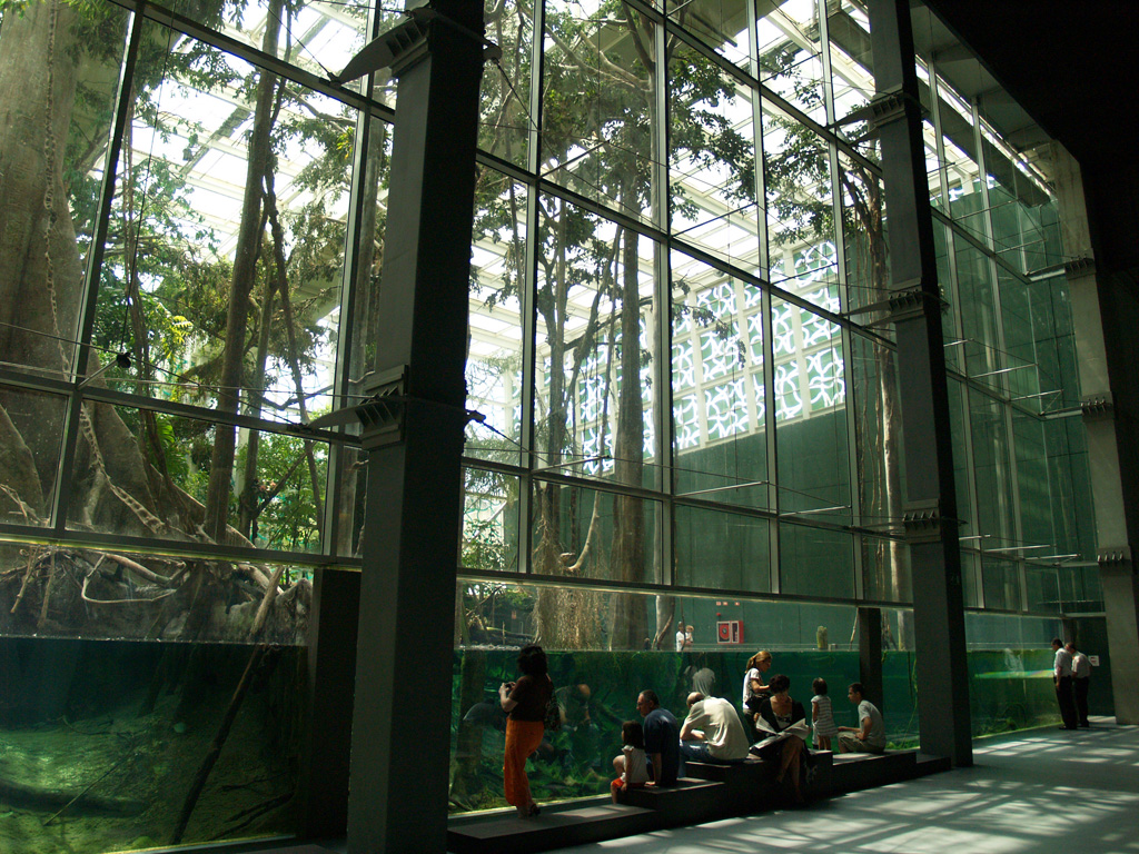 Cosmocaixa - Amazon forest