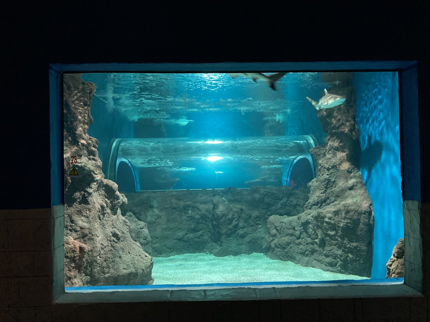 Costa Teguise Aquarium - Lanzarote 2