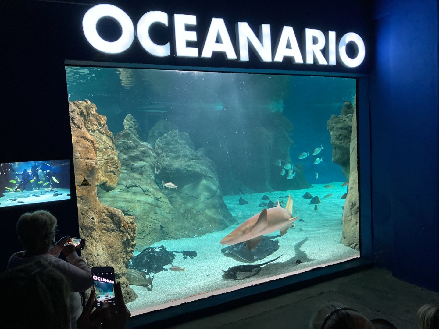 Costa Teguise Aquarium - Lanzarote