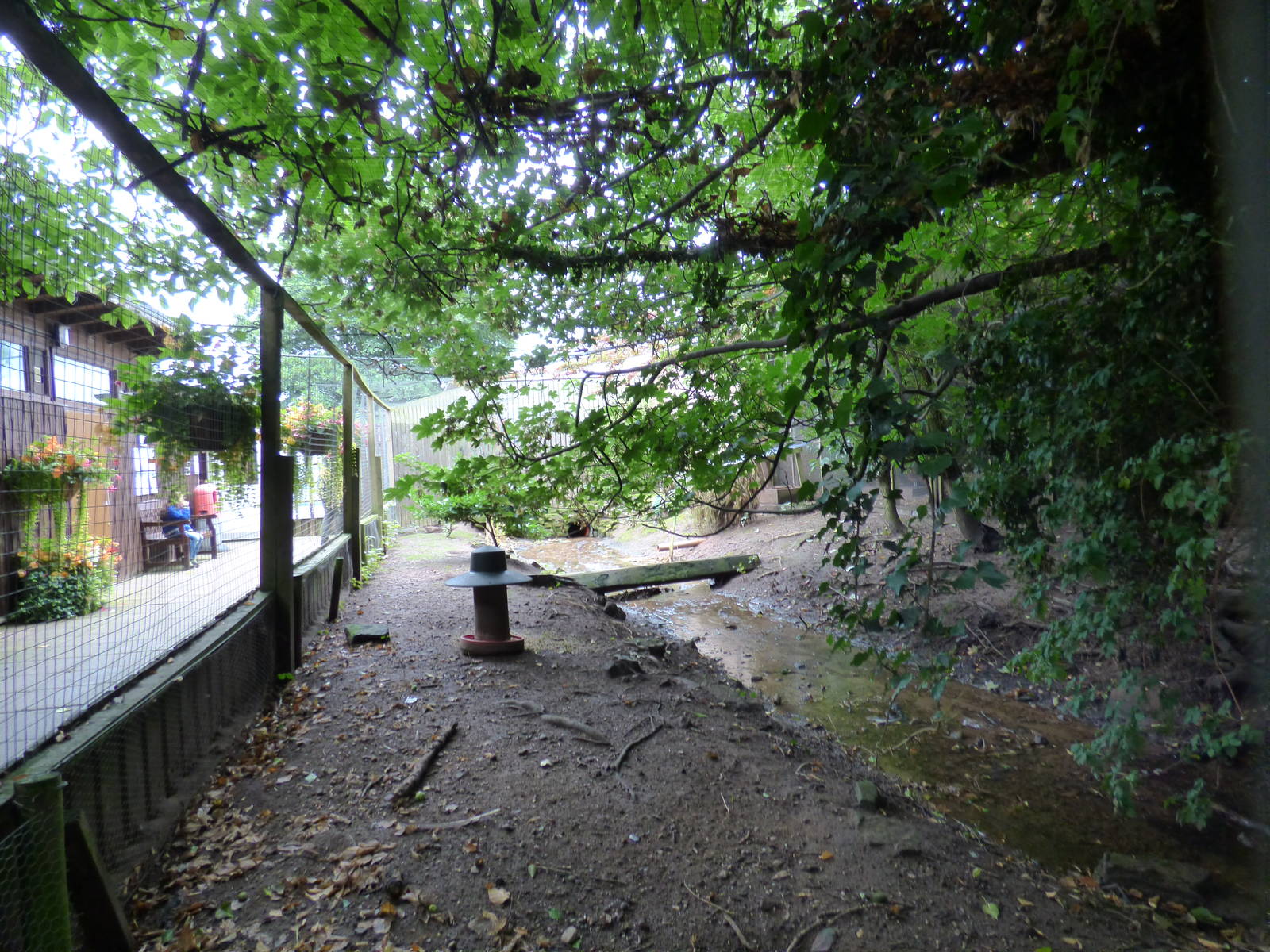 Cotebrook Shire Horse Centre