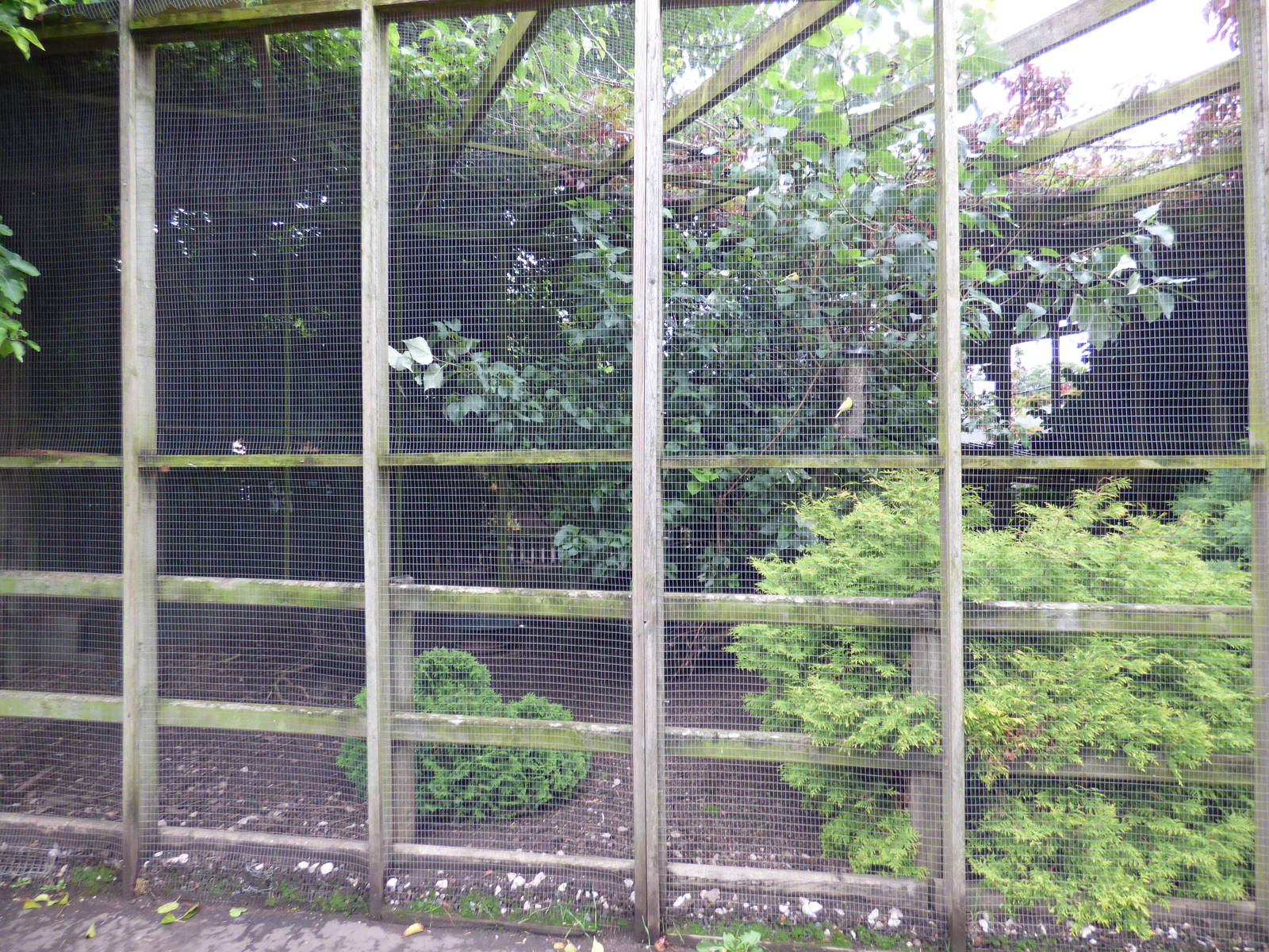 Cotebrook Shire Horse Centre