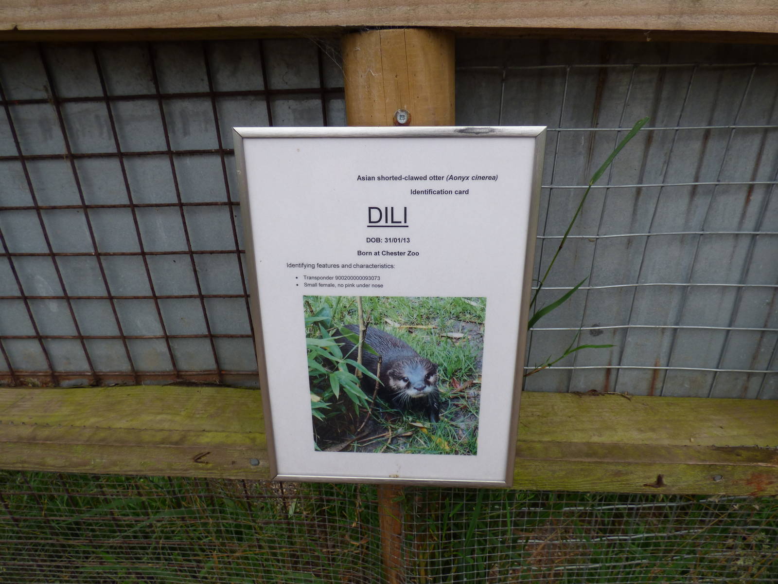 Cotebrook Shire Horse Centre