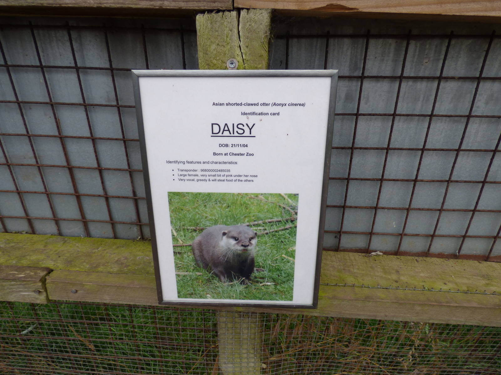 Cotebrook Shire Horse Centre