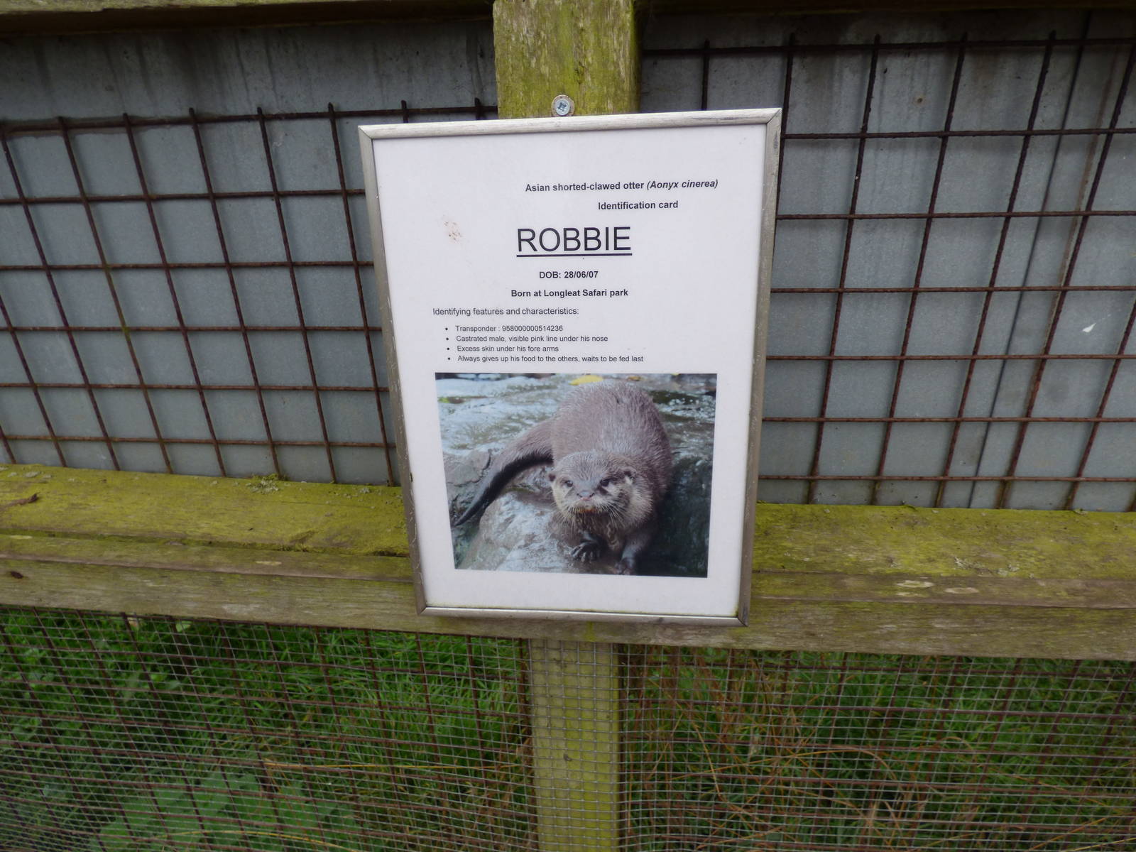 Cotebrook Shire Horse Centre