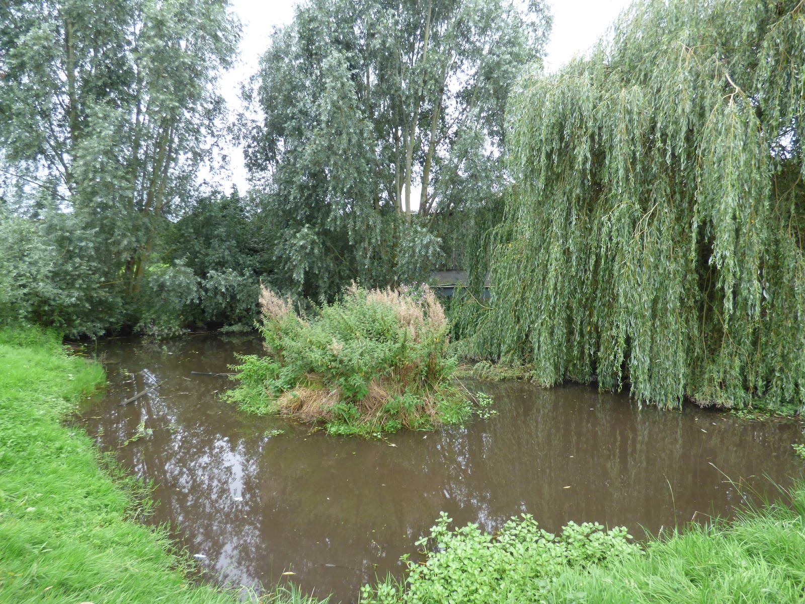 Cotebrook Shire Horse Centre