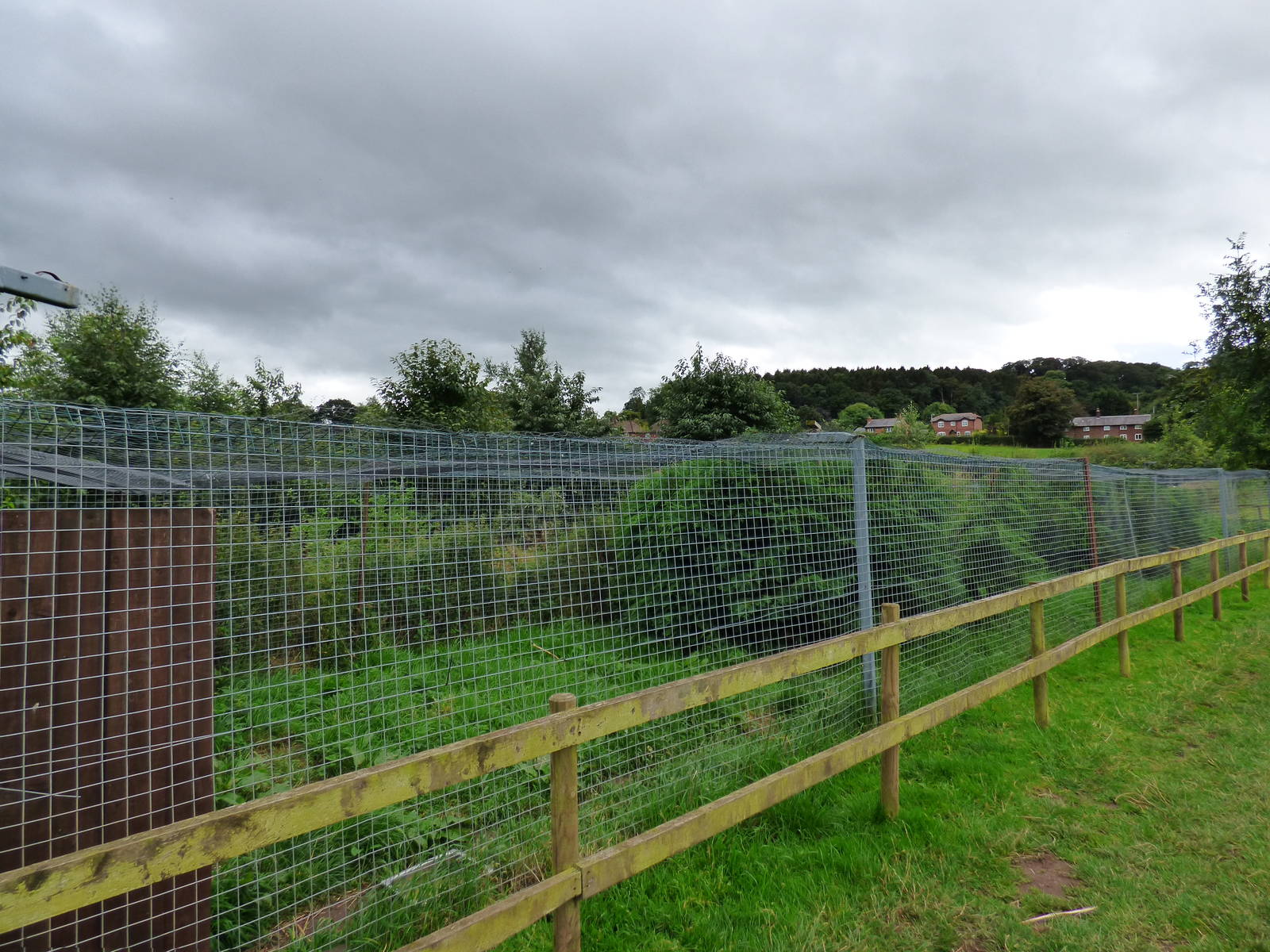 Cotebrook Shire Horse Centre