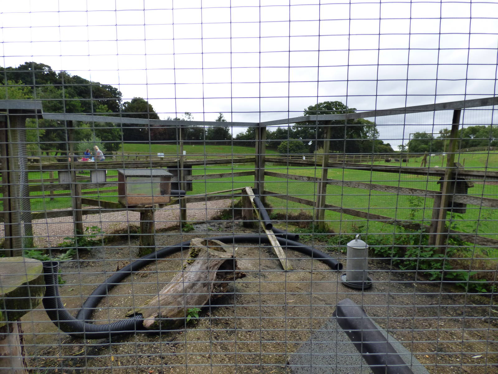 Cotebrook Shire Horse Centre
