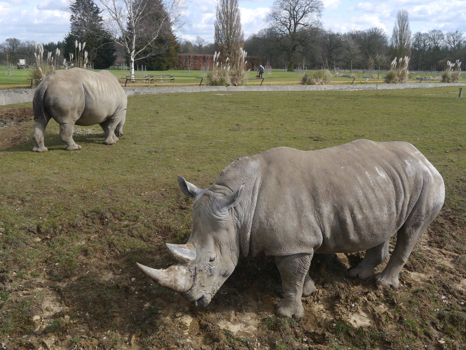 Cotswold (13/3/2013)