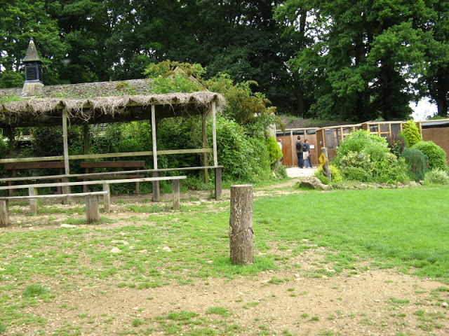 Cotswold Falconery 17.06.2007