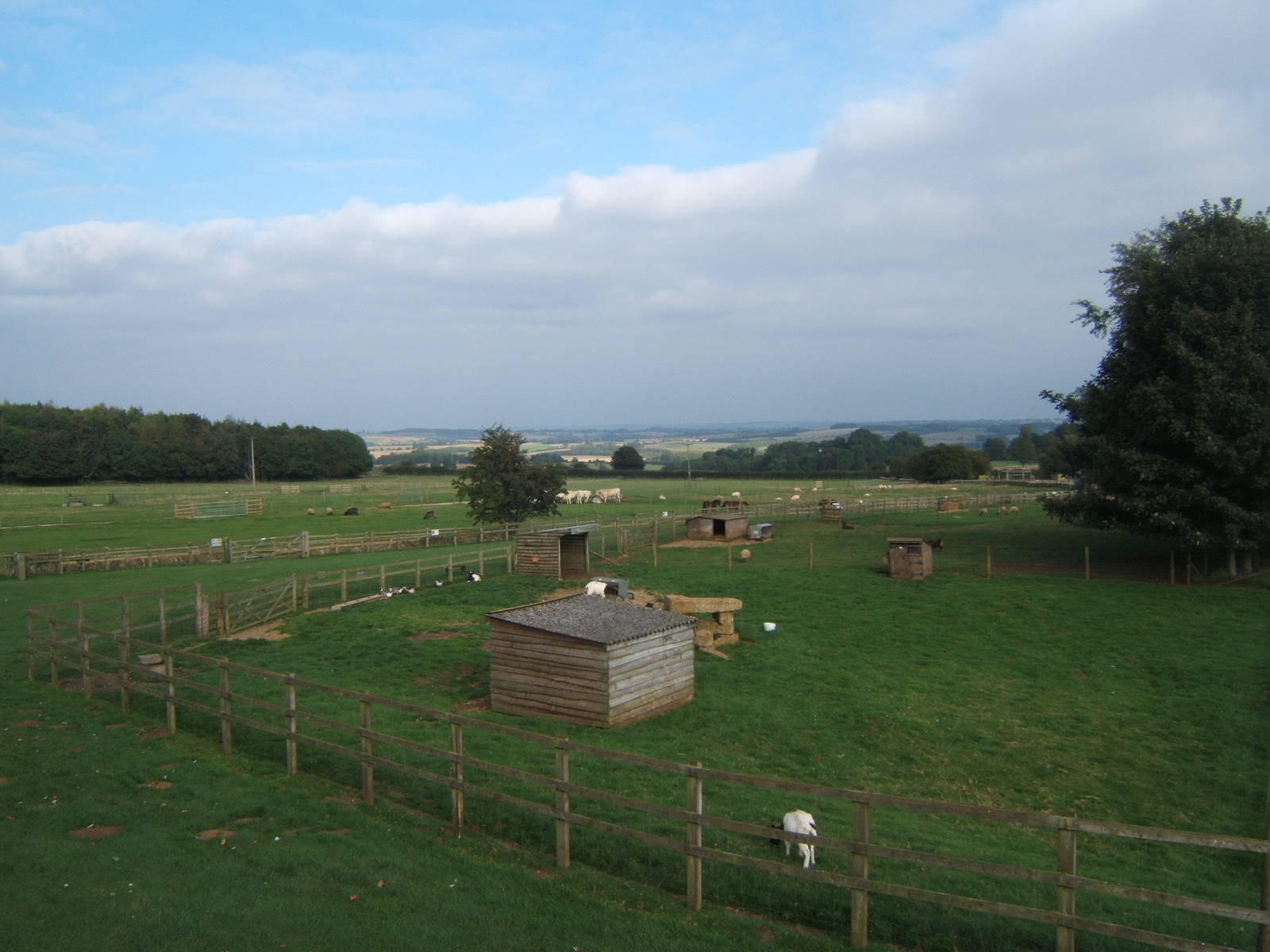 Cotswold Farm Park