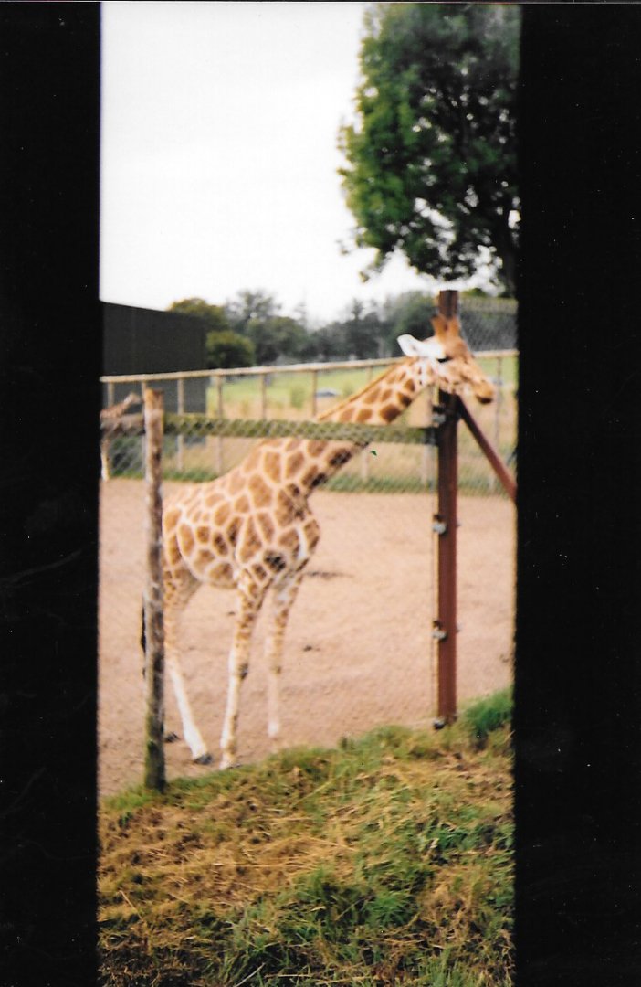 Cotswold, late 1990s