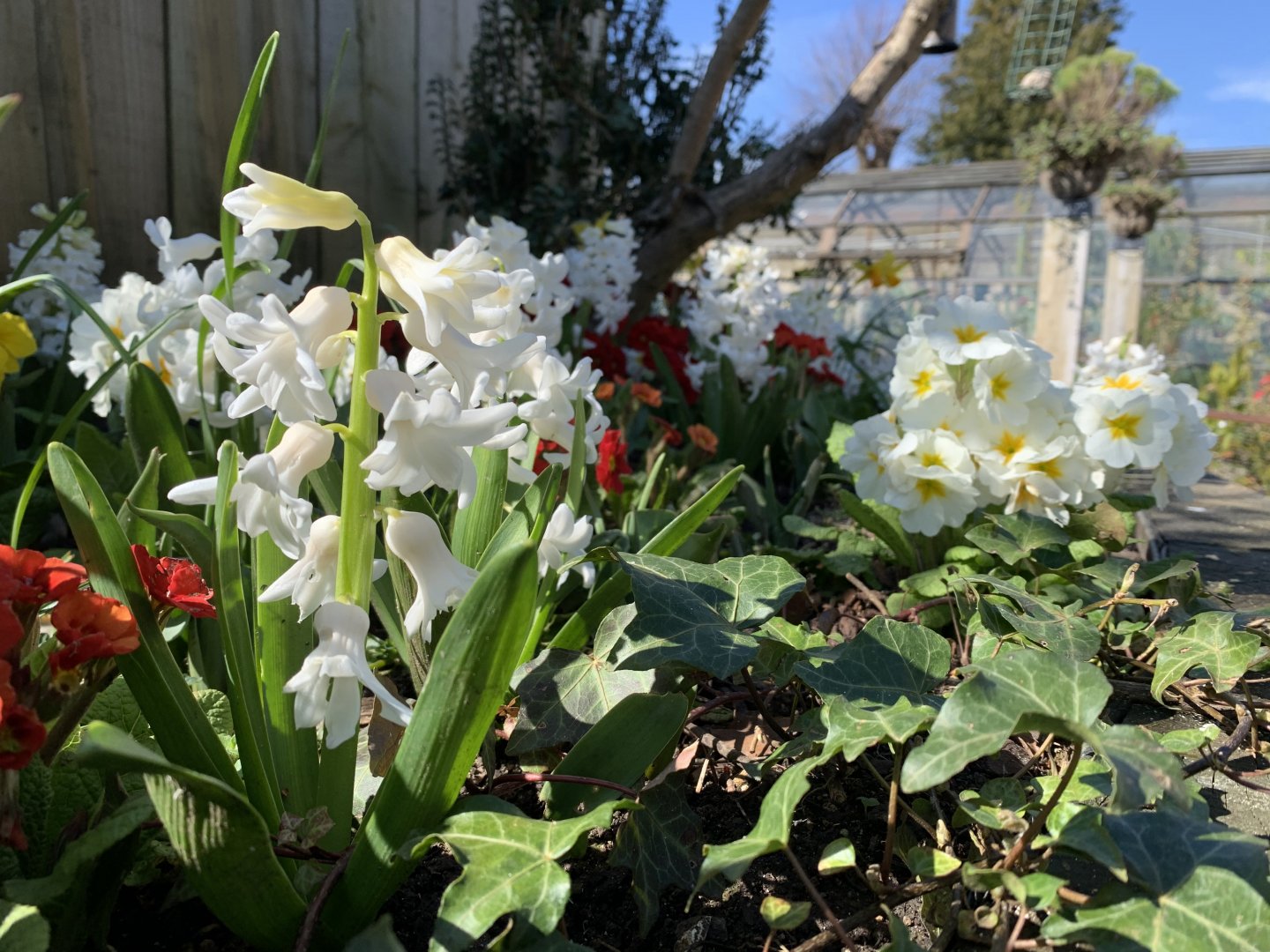 Cotswold Wildlife Park - 22nd March 2020 (pre-lockdown)