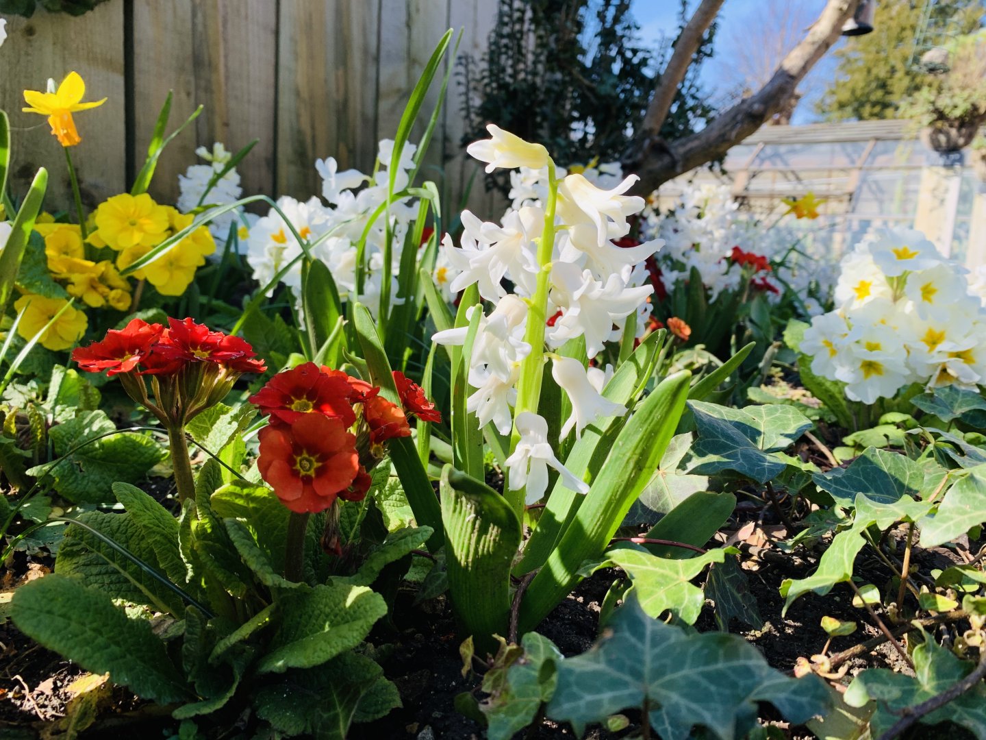 Cotswold Wildlife Park - 22nd March 2020 (pre-lockdown)