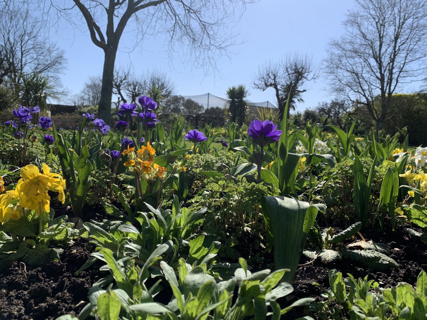 Cotswold Wildlife Park - 22nd March 2020 (pre-lockdown)