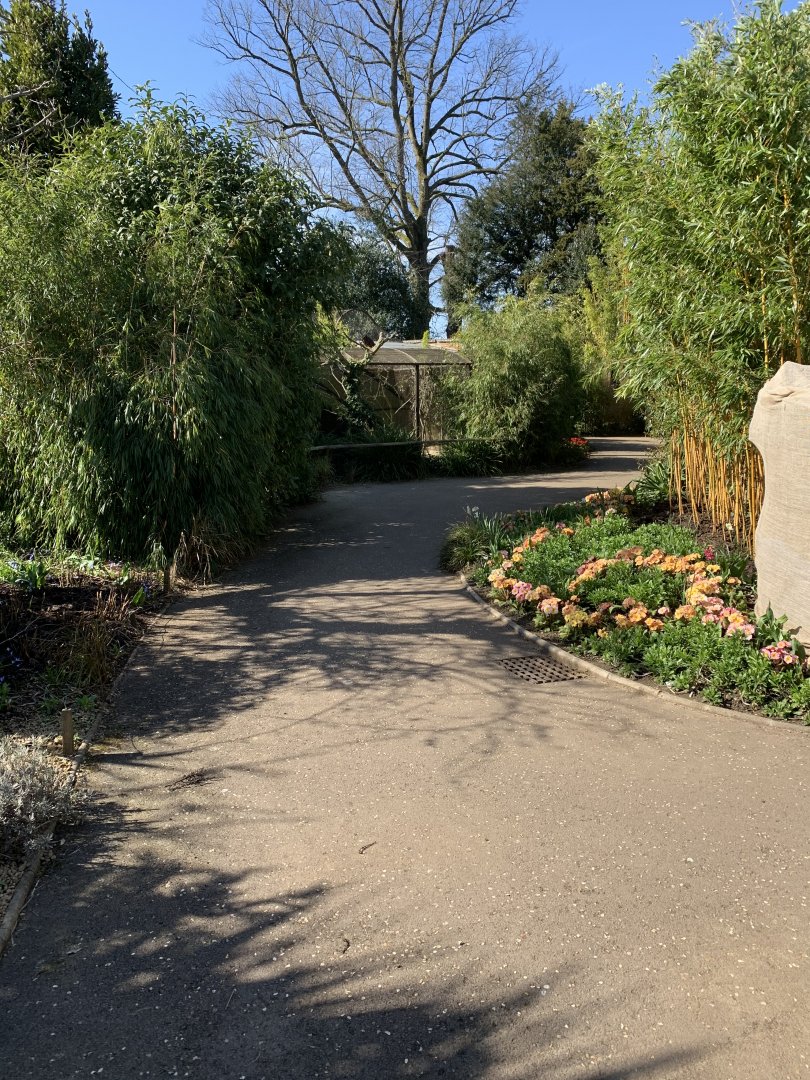 Cotswold Wildlife Park - 22nd March 2020 (pre-lockdown)