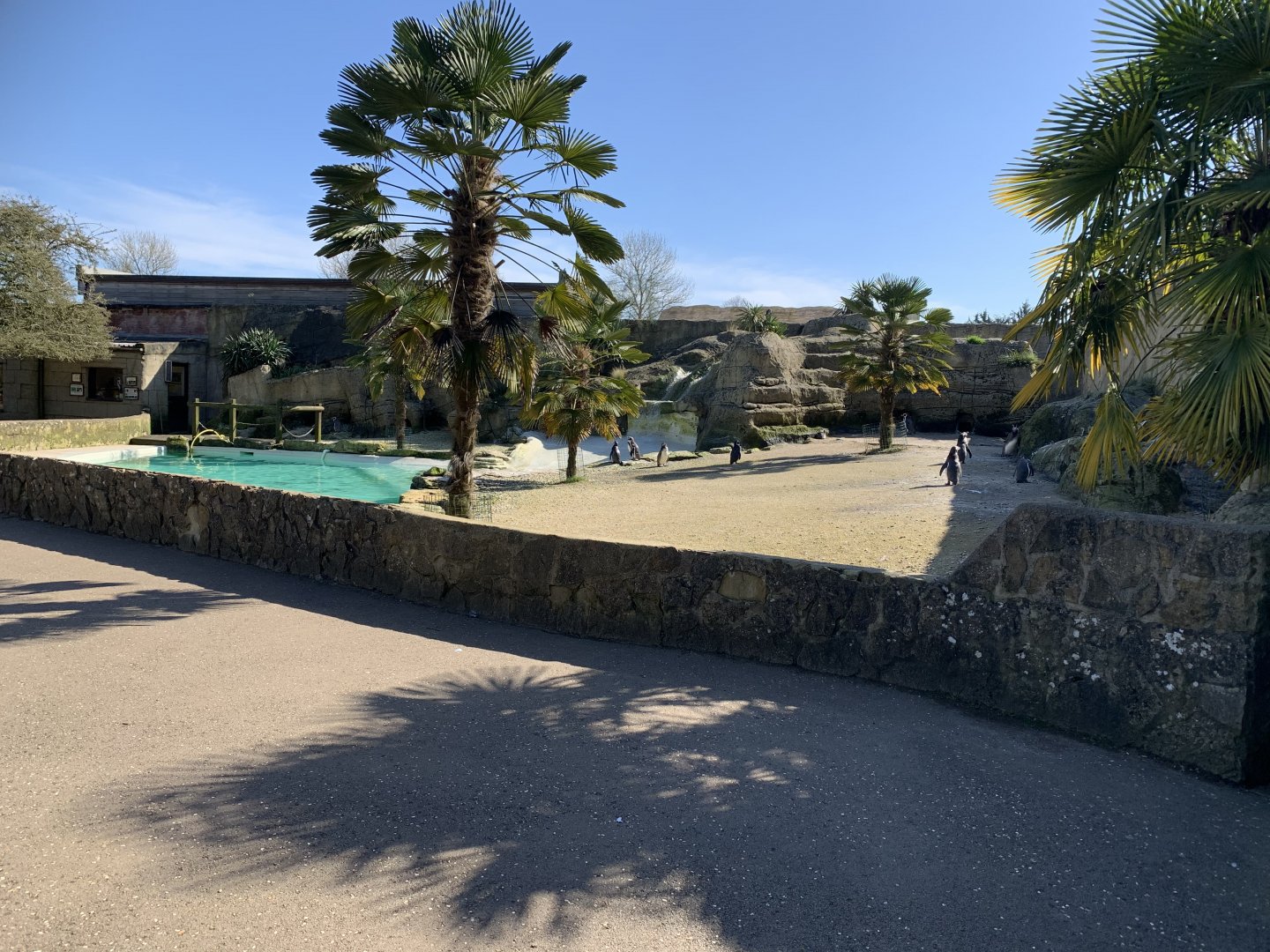 Cotswold Wildlife Park - 22nd March 2020 (pre-lockdown)