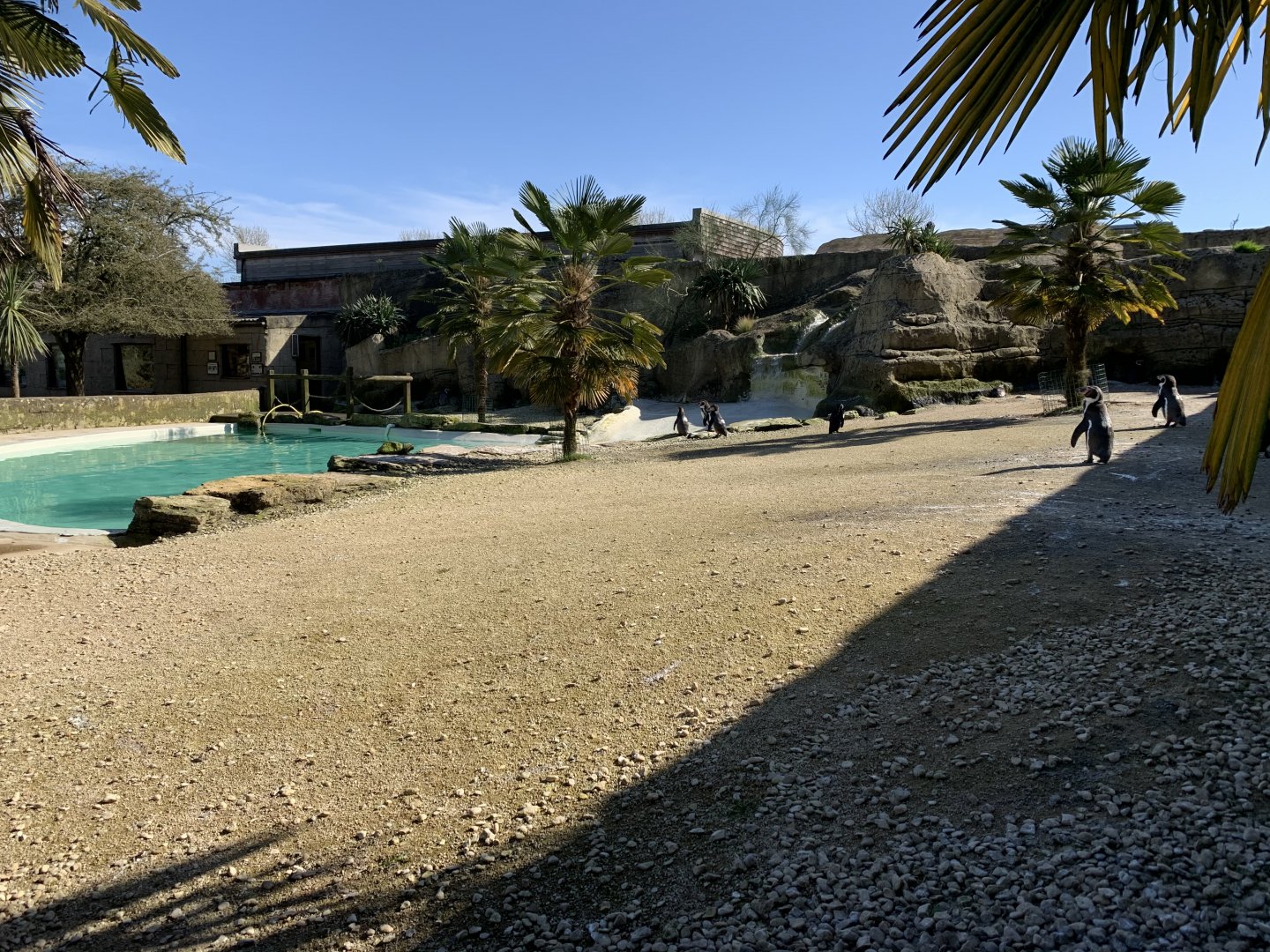 Cotswold Wildlife Park - 22nd March 2020 (pre-lockdown)