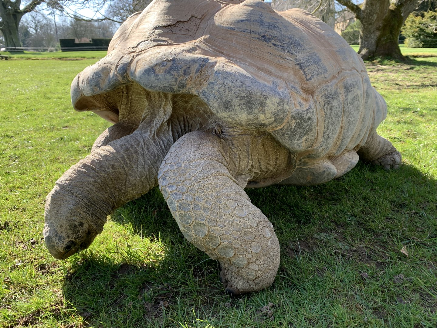 Cotswold Wildlife Park - 22nd March 2020 (pre-lockdown)