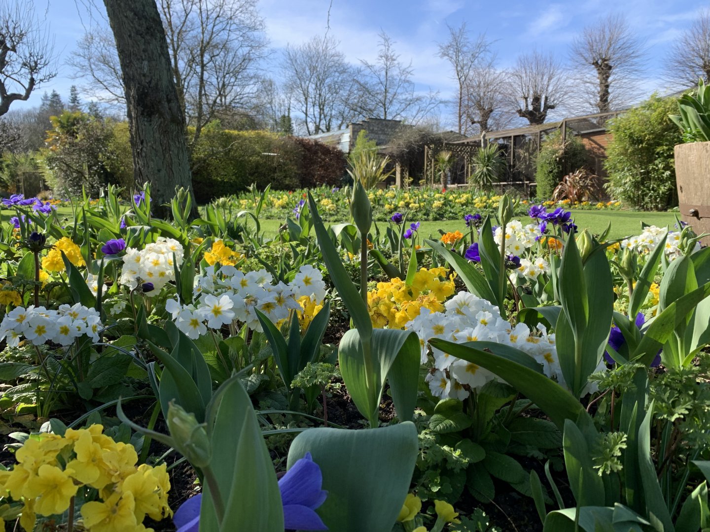 Cotswold Wildlife Park - 22nd March 2020 (pre-lockdown)