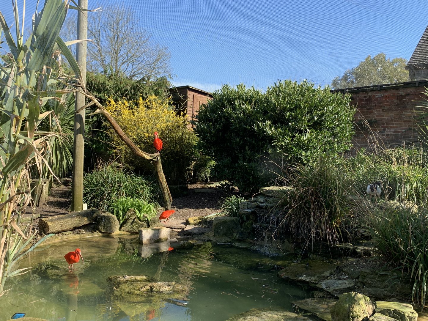 Cotswold Wildlife Park - 22nd March 2020 (pre-lockdown)