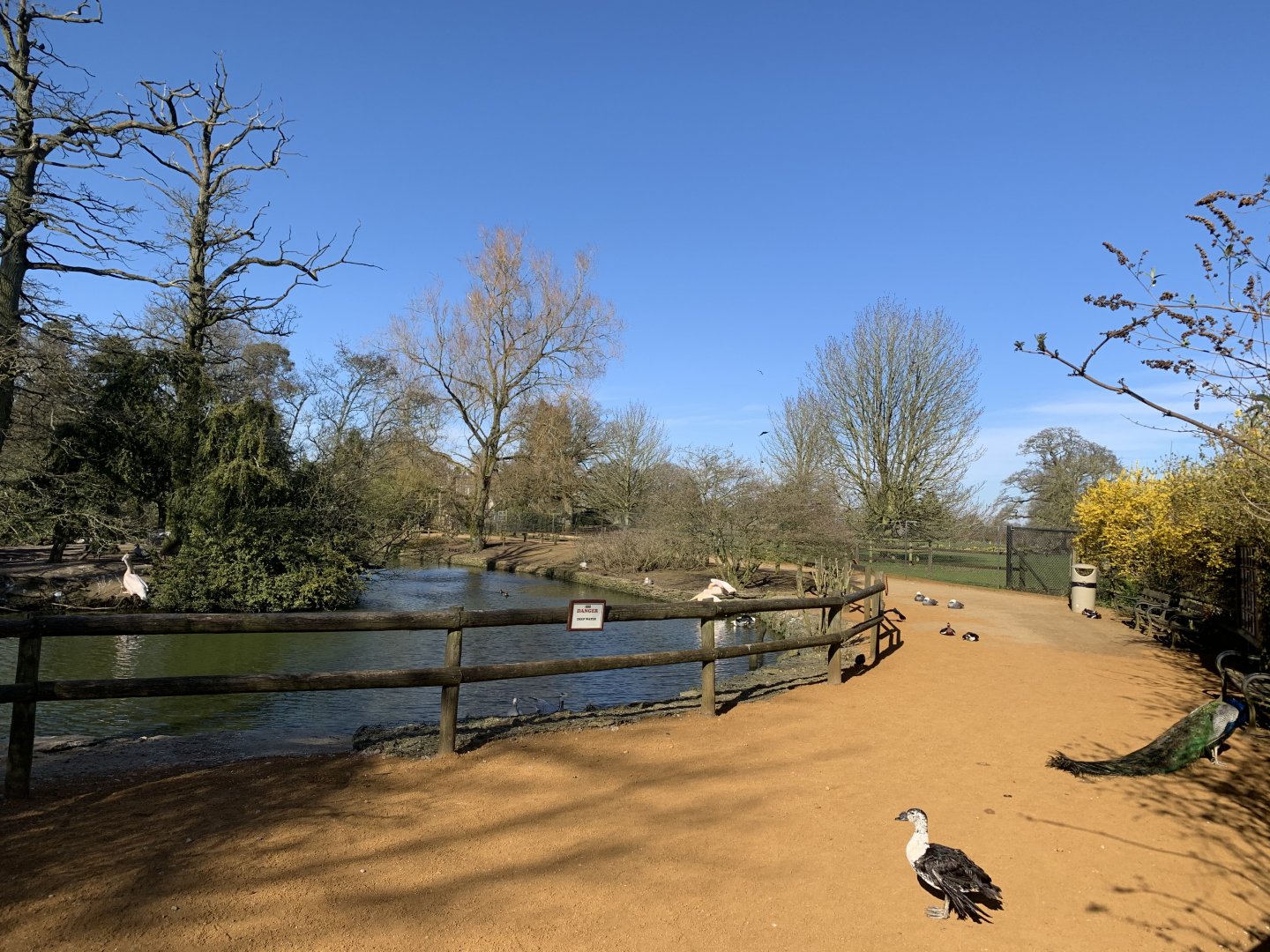 Cotswold Wildlife Park - 22nd March 2020 (pre-lockdown)