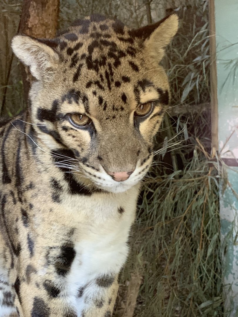 Cotswold Wildlife Park - 22nd March 2020 (pre-lockdown)