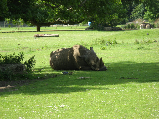 Cotswold Wildlife Park and Garden 03.06.2007