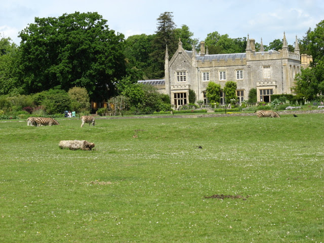 Cotswold Wildlife Park and Garden 03.06.2007