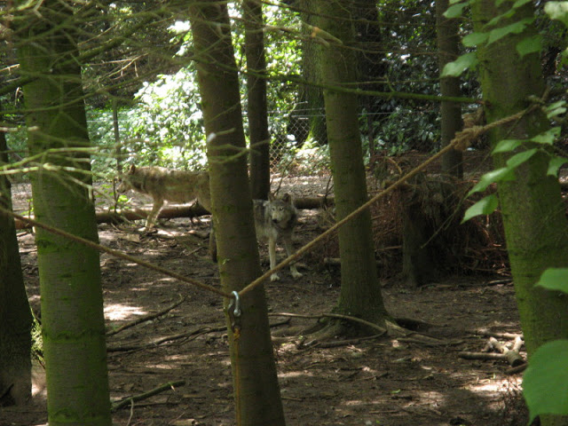 Cotswold Wildlife Park and Garden 03.06.2007