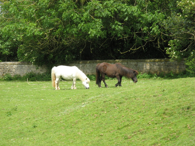 Cotswold Wildlife Park and Garden 03.06.2007