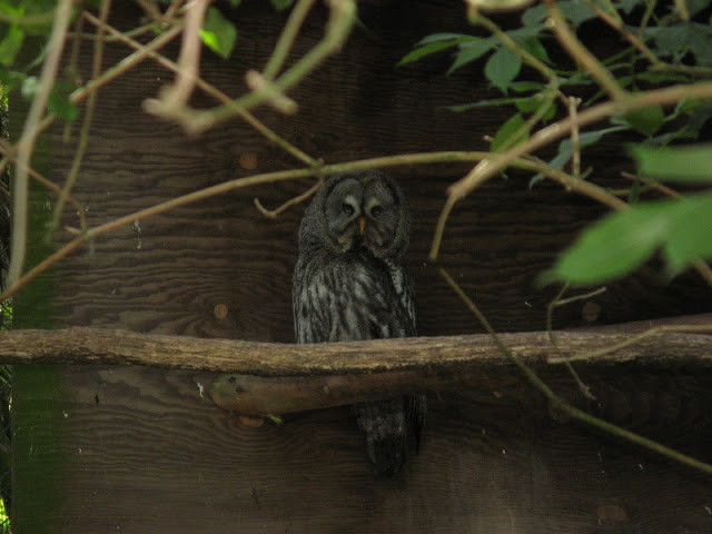 Cotswold Wildlife Park and Garden 03.06.2007