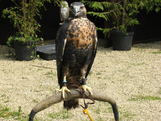 Cotswold Wildlife Park and Garden 03.06.2007