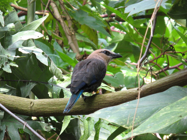 Cotswold Wildlife Park and Garden 03.06.2007