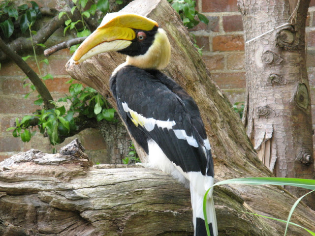 Cotswold Wildlife Park and Garden 03.06.2007