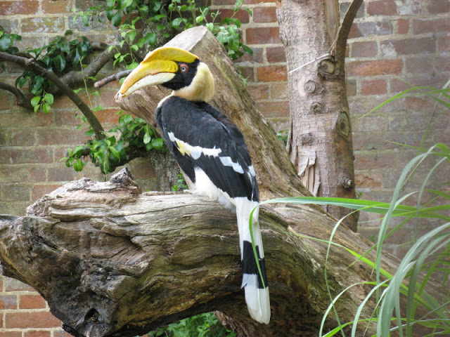 Cotswold Wildlife Park and Garden 03.06.2007