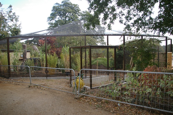 Cotswold WP Madagascar 1