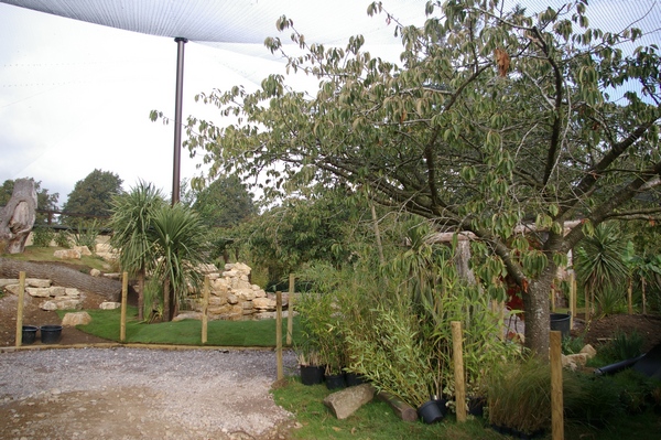 Cotswold WP Madagascar 2