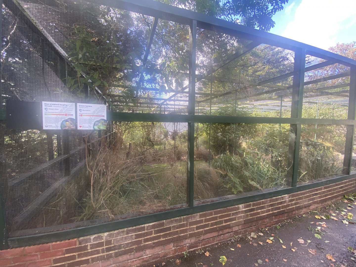 Cottage Aviary 030925