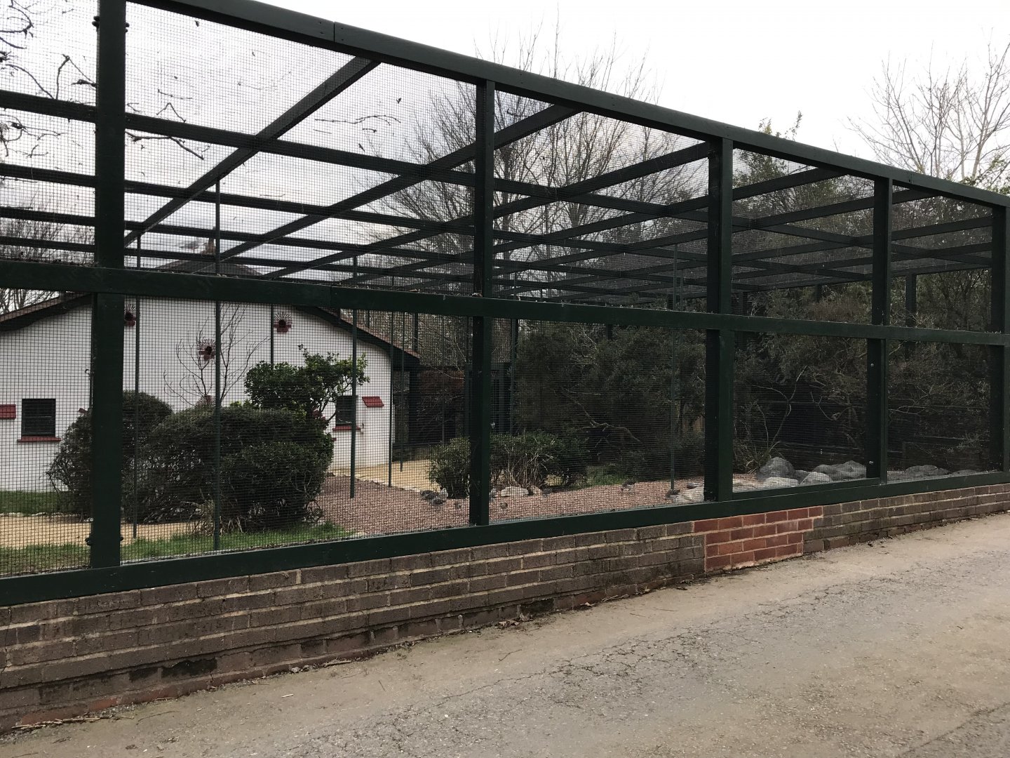 Cottage Aviary 050119