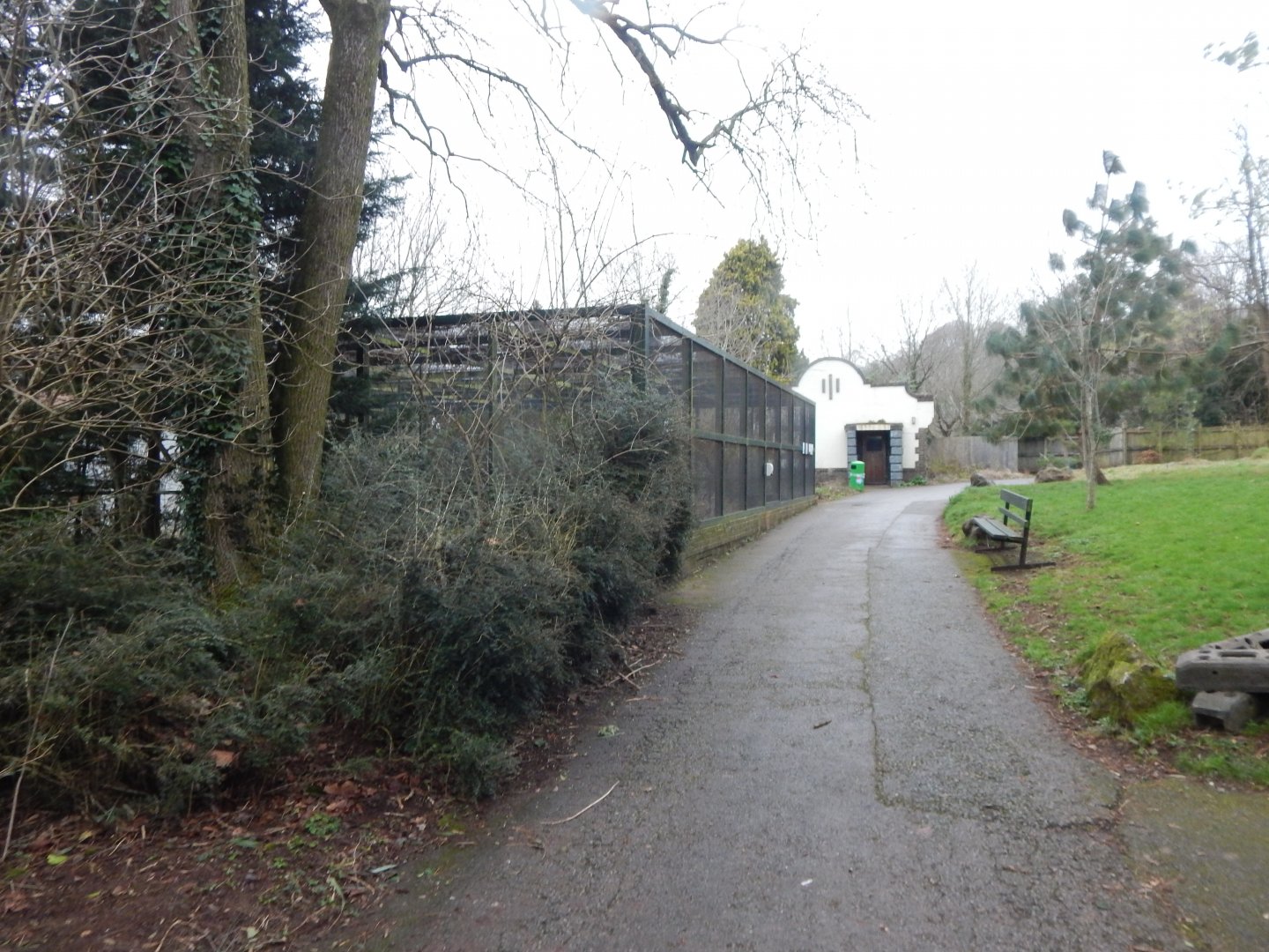 Cottage Aviary 050224