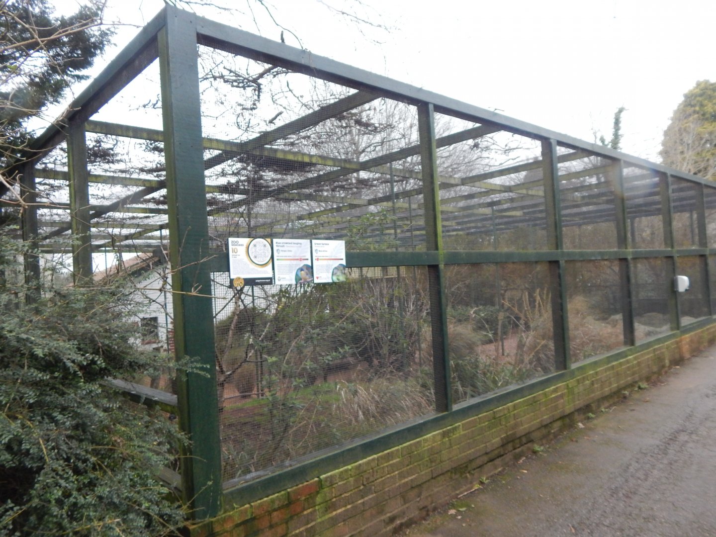 Cottage Aviary 050224