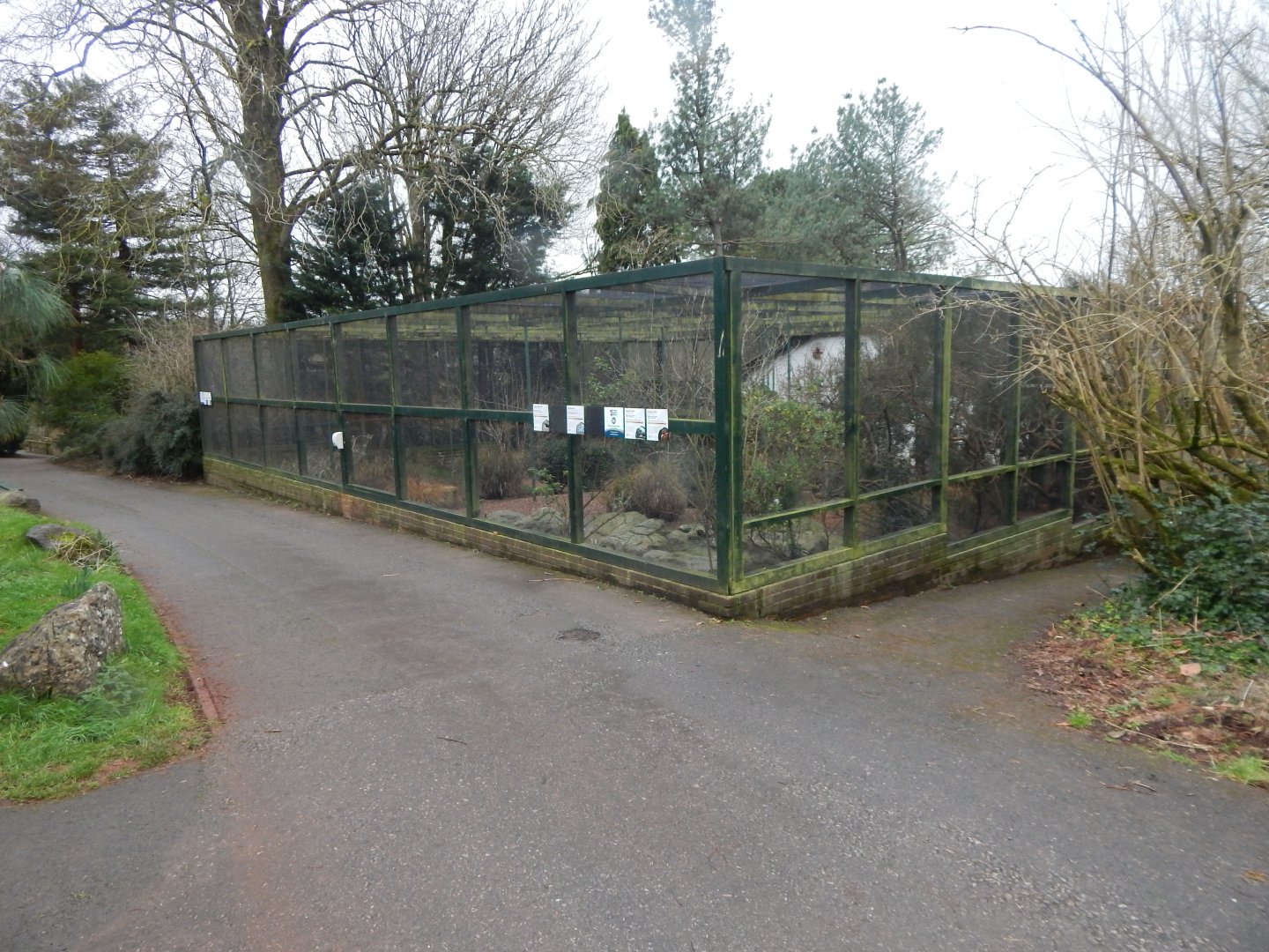 Cottage Aviary 050224