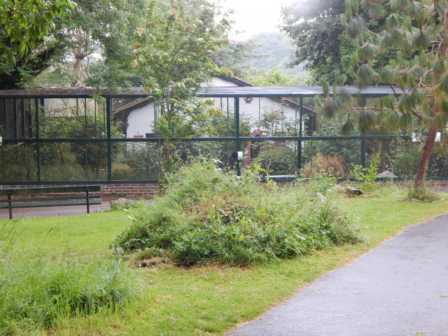 Cottage Aviary 130624