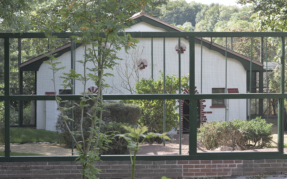 Cottage Aviary, 13th September 2018