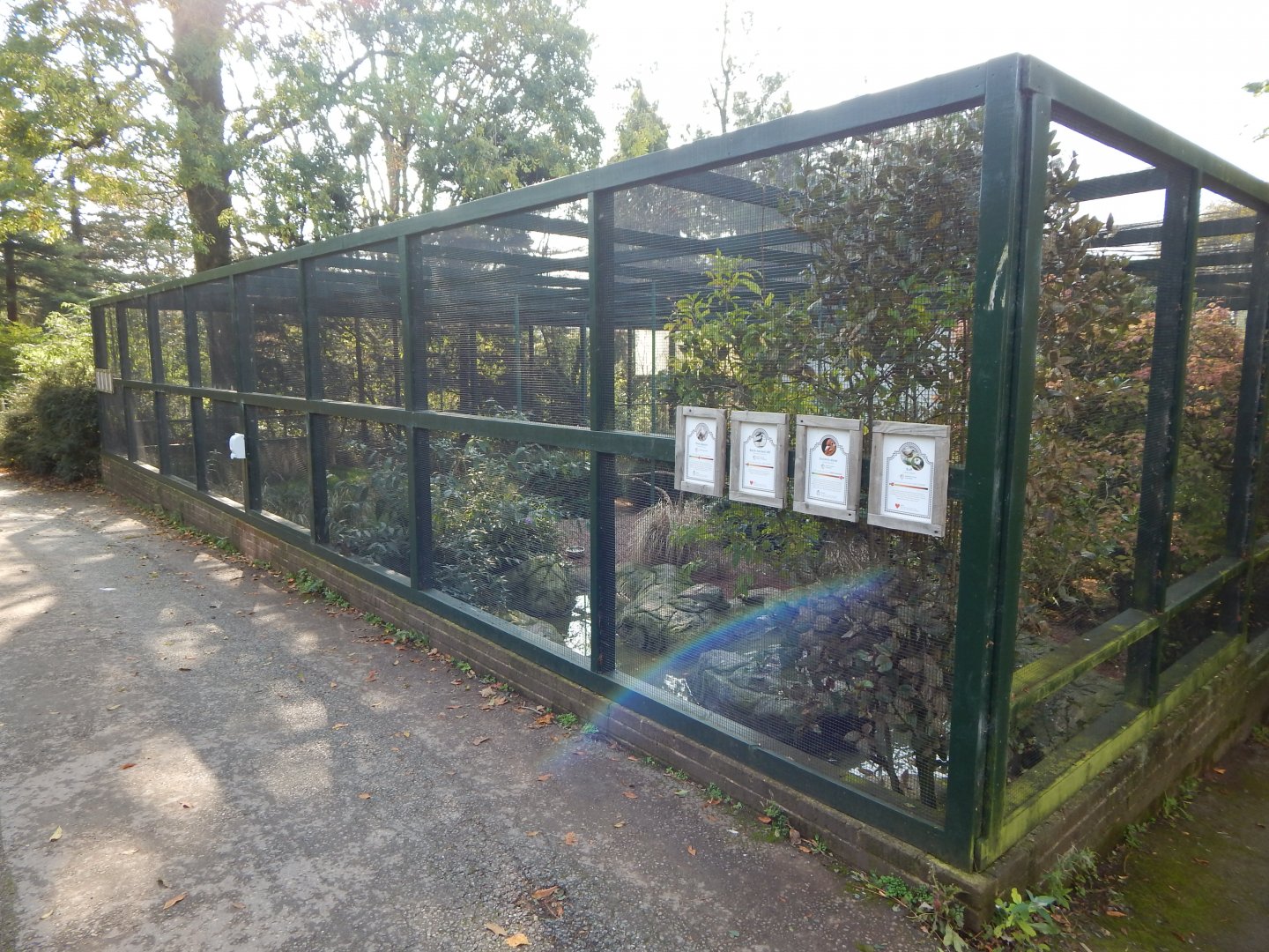 Cottage Aviary 181020